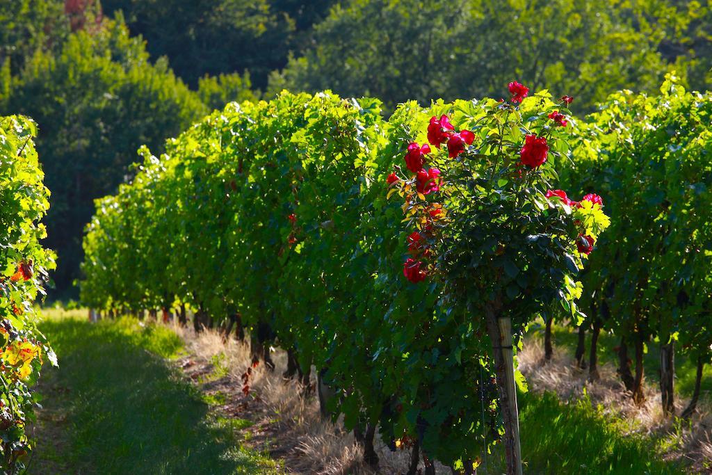Chateau De Mazelieres Espiens Ngoại thất bức ảnh